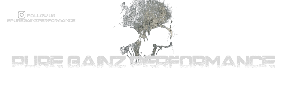 Pure Gainz Performance